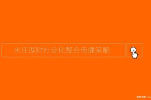 米庄理财2016社会化整合传播策略(PPT)