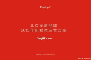 龙湖地产北京2015品牌新媒体运营方案(PPT)