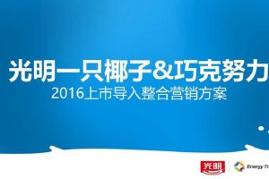 光明一只椰子&巧克努力2016上市导入线上整合营销方案(PPT)