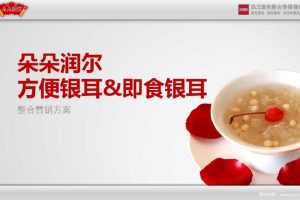 朵朵润尔-方便银耳&即食银耳2016整合营销方案(PPT)
