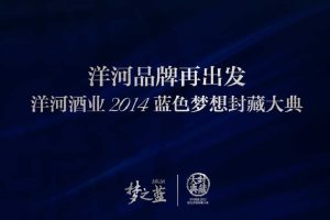 洋河酒业2014蓝色梦想封藏大典策划方案(PPT)