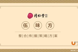 同仁堂药店健康伍味方2015整合传播策略方案(PPT)