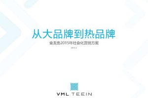 金龙鱼2015年社会化营销方案(PPT)
