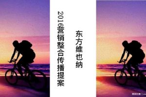 东方维也纳项目2016年整合传播方案(PPT)