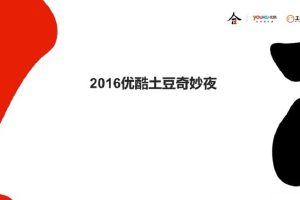 优酷土豆奇妙夜执行方案(PPT)