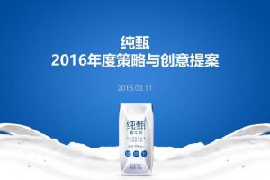 蒙牛纯甄2016年品牌策略与传播方案(PPT)