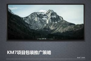 KM7商业项目整体包装推广策略(PPT)