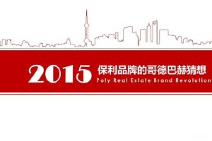 保利是个P-2015保利品牌的哥德巴赫猜想(PPT)