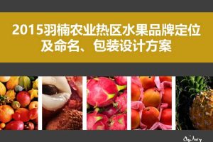 羽楠农业热区水果品牌定位及命名、包装设计方案-奥美(PPT)