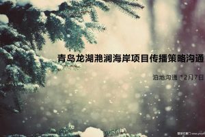 青岛龙湖滟澜海岸项目2015传播策略沟通方案(PPT)