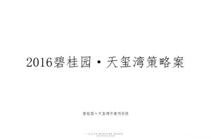 碧桂园·天玺湾2016营销策略方案(PPT)