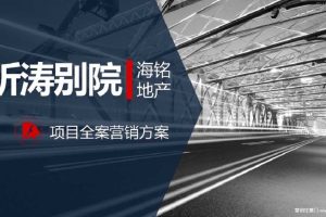 青岛海铭地产听涛别院项目全案营销方案(PPT)
