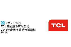 TCL 2015年度数字营销传播规划(PPT)