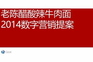 康师傅老陈醋酸辣牛肉面2014数字营销提案(PDF)