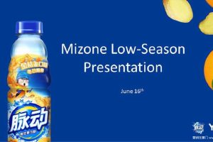 脉动金桔姜口味2016冬日上市传播方案(PPT)