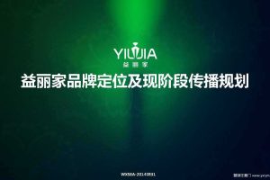 益丽家品牌定位及现阶段传播规划(PDF)