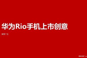 华为Rio手机2016上市创意方案(PPT)