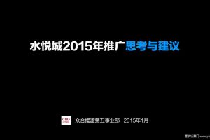 水悦城2015年推广思考与建议(PPT)
