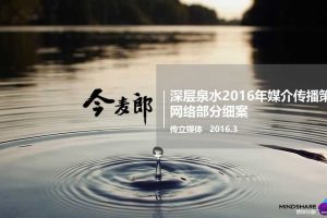 今麦郎深层泉水2016年媒介传播策略-网络传播细案(PPT)