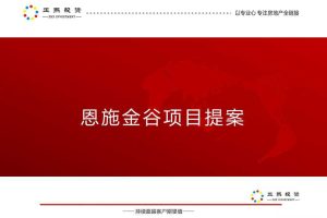 恩施金谷项目提案（家居商场）(PPT)
