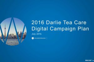 黑人牙膏2016数字传播-FINAL(PPT)