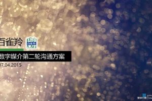 百雀羚2015数字媒介沟通方案(PPT)