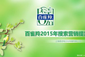 百雀羚2015搜索营销方案(PPT)
