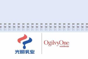 光明乳业一只椰子&树核桃2016传播规划方案(PDF)