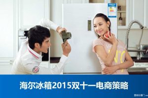 海尔冰箱2015双十一电商策略(PPT)