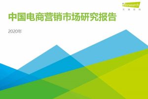 2020年中国电商营销市场研究报告