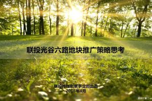 联投光谷六路地块2016推广策略方案(PDF)