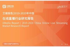 2019-2020年在线直播行业研究报告