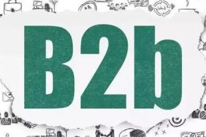 大咖说 | 后疫情时代，B2B数字营销的「术」与「道」