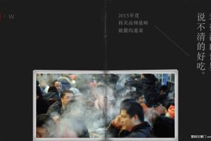 西贝2015年度品牌战略破题沟通方案（PDF）