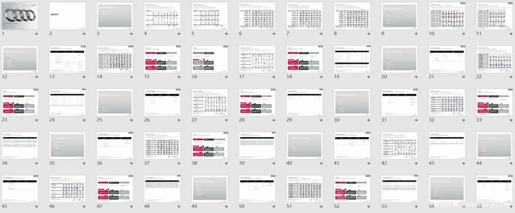 【营销任意门】奥迪中国联合图像研究报告-尼尔森Audi Joint Image Study China Nielsen full report （英文版）01