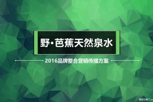野·芭蕉天然泉水2016年品牌整合营销传播方案（PPT）