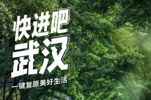 武汉联手支付宝发5亿消费券，13张温暖又美好的海报值得细细体会