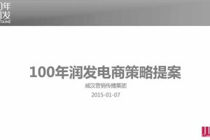 100年润发2015电商策略提案（PDF）
