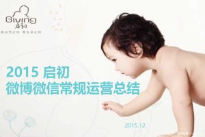 启初2015微博微信常规运营总结（PDF）