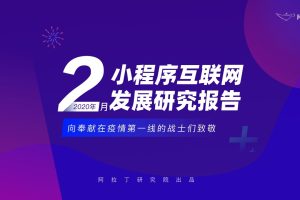 2020年2月小程序互联网发展研究报告-阿拉丁