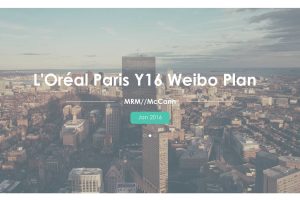 欧莱雅2016微博运营方案（PDF）