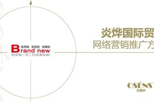 炎烨国际贸易-红枣农产品网络营销推广方案（PDF）