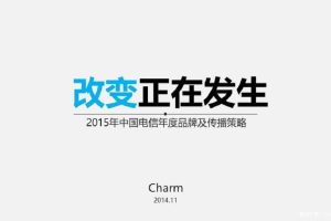 中国电信2015年度品牌传播策略提案（PPT）