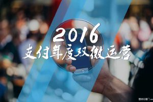 支付宝2016年度双微运营方案（PDF）