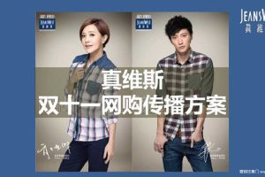 真维斯2014双十一营销方案（PPT）