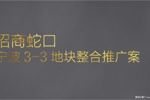 招商蛇口-宁波湖滨1972整合推广方案（PPT）