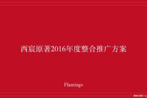 西宸原著2016年度整合推广方案（PDF）