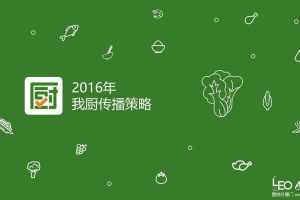 我厨2016年品牌传播策略方案（PPT）