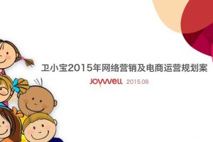 卫小宝2015年网络营销及电商运营规划方案（PDF）