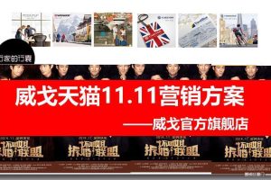 威戈天猫官方旗舰店2014双十一营销方案（PPT）